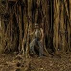 The Banyan Spirit